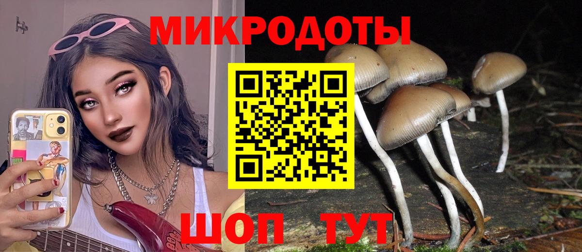 Псилоцибиновые грибы прущие грибы Сатка